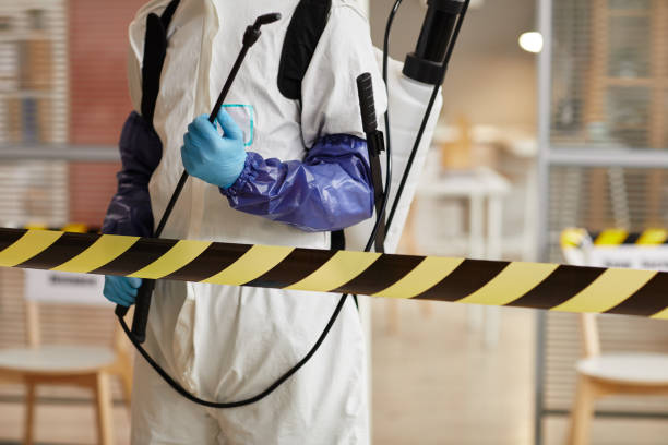 Professional Hoarding Cleanup technician working in Alto, TX